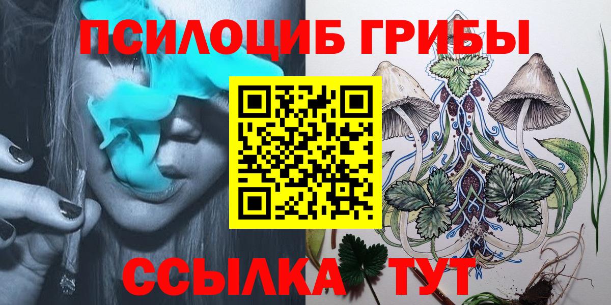 Галлюциногенные грибы Psilocybine cubensis  Вход с VPN  Полевской 